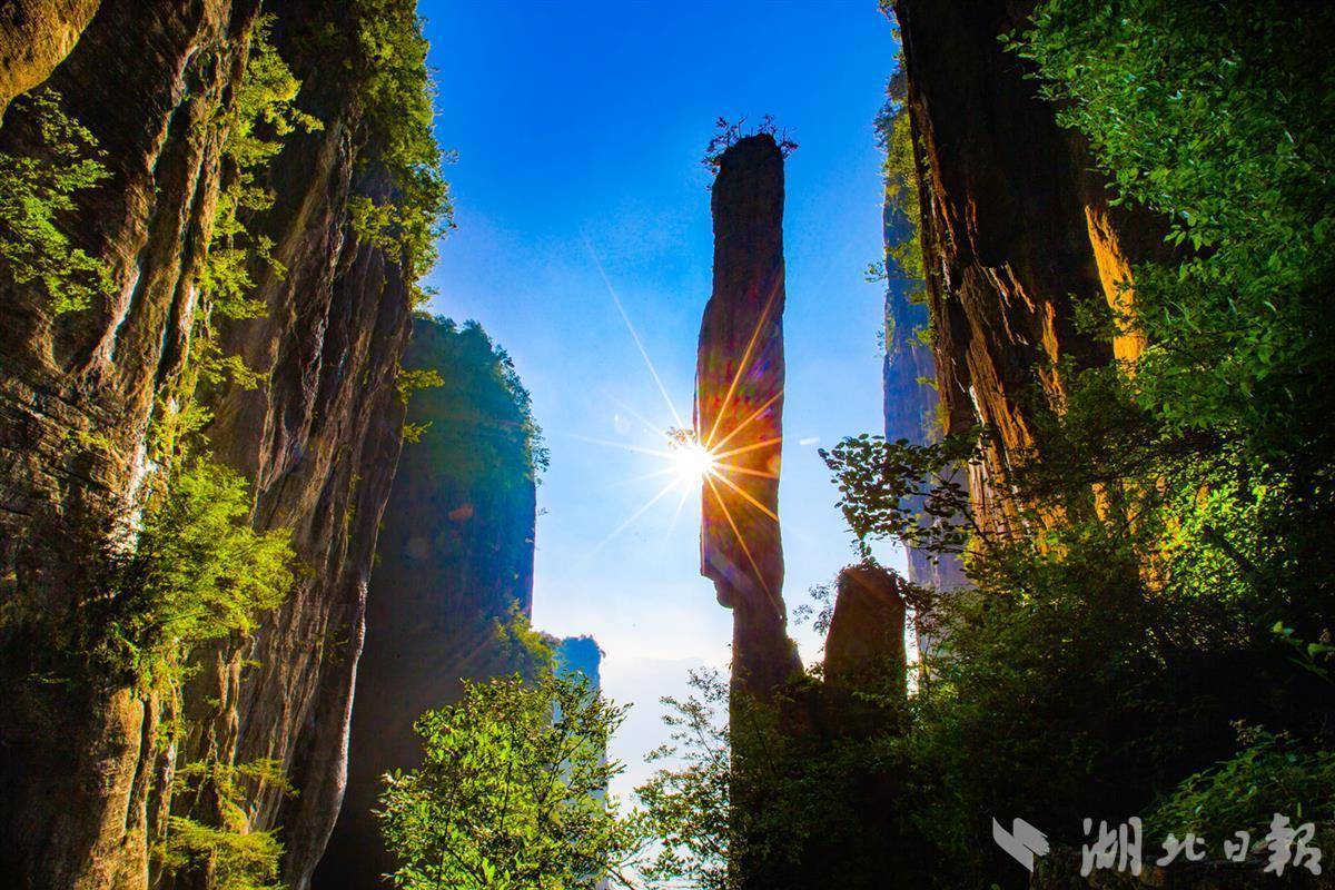 mg线上游戏试玩
